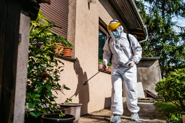 Wasp Removal Services in Hillsboro, ND